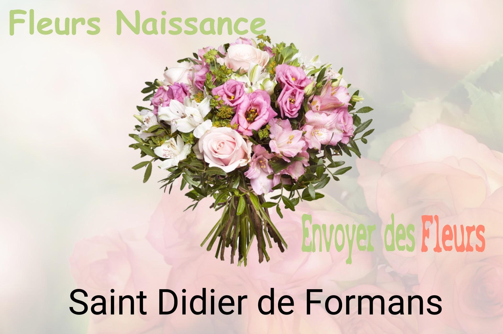 Bouquet de fleurs de naissance livré à Saint-Didier-de-Formans